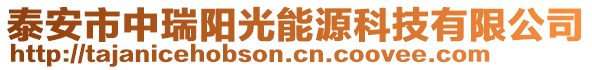 泰安市中瑞陽光能源科技有限公司