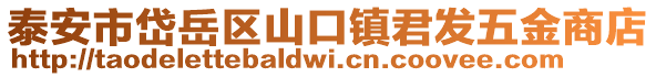泰安市岱岳區山口鎮君發五金商店