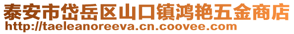 泰安市岱岳區(qū)山口鎮(zhèn)鴻艷五金商店