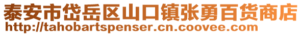 泰安市岱岳區(qū)山口鎮(zhèn)張勇百貨商店