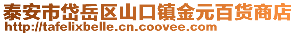 泰安市岱岳區(qū)山口鎮(zhèn)金元百貨商店