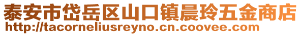 泰安市岱岳區山口鎮晨玲五金商店