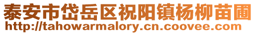 泰安市岱岳區祝陽鎮楊柳苗圃
