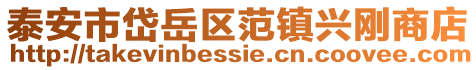 泰安市岱岳區范鎮興剛商店