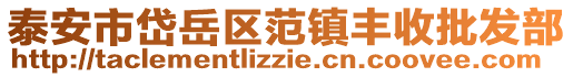 泰安市岱岳區范鎮豐收批發部