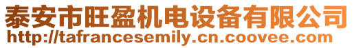 泰安市旺盈機電設備有限公司