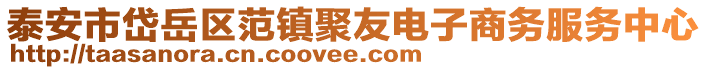 泰安市岱岳區(qū)范鎮(zhèn)聚友電子商務(wù)服務(wù)中心