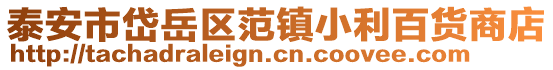 泰安市岱岳區范鎮小利百貨商店