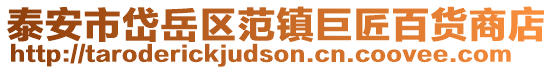泰安市岱岳區(qū)范鎮(zhèn)巨匠百貨商店