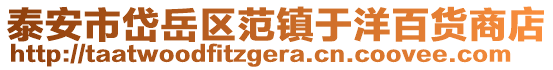 泰安市岱岳區范鎮于洋百貨商店