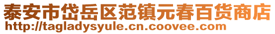 泰安市岱岳區范鎮元春百貨商店