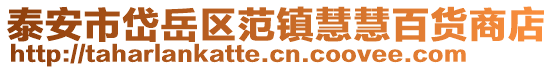 泰安市岱岳區(qū)范鎮(zhèn)慧慧百貨商店