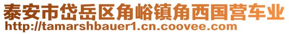 泰安市岱岳區角峪鎮角西國營車業