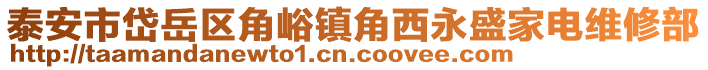 泰安市岱岳區(qū)角峪鎮(zhèn)角西永盛家電維修部
