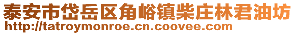 泰安市岱岳區角峪鎮柴莊林君油坊