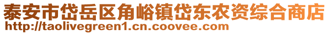 泰安市岱岳區角峪鎮岱東農資綜合商店