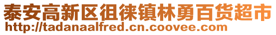 泰安高新區徂徠鎮林勇百貨超市