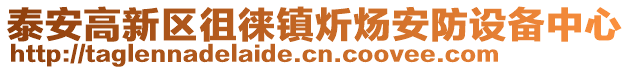 泰安高新區(qū)徂徠鎮(zhèn)炘煬安防設(shè)備中心