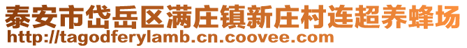 泰安市岱岳區(qū)滿莊鎮(zhèn)新莊村連超養(yǎng)蜂場