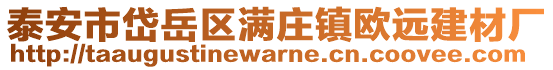 泰安市岱岳區(qū)滿莊鎮(zhèn)歐遠(yuǎn)建材廠