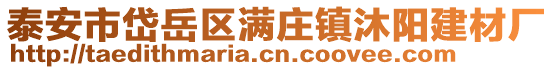 泰安市岱岳區滿莊鎮沐陽建材廠