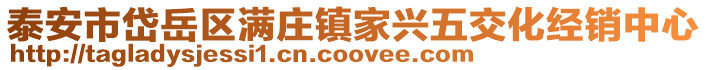 泰安市岱岳區(qū)滿莊鎮(zhèn)家興五交化經(jīng)銷中心