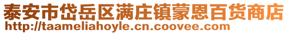 泰安市岱岳區(qū)滿莊鎮(zhèn)蒙恩百貨商店