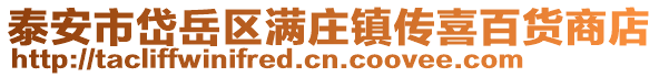 泰安市岱岳區滿莊鎮傳喜百貨商店