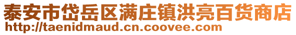 泰安市岱岳區滿莊鎮洪亮百貨商店