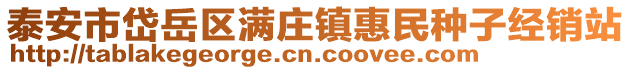 泰安市岱岳區滿莊鎮惠民種子經銷站
