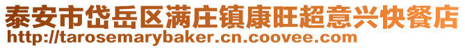 泰安市岱岳區滿莊鎮康旺超意興快餐店