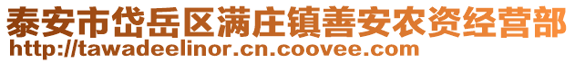 泰安市岱岳區滿莊鎮善安農資經營部