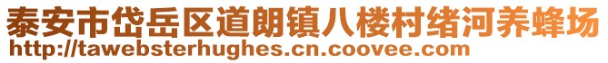 泰安市岱岳區(qū)道朗鎮(zhèn)八樓村緒河養(yǎng)蜂場(chǎng)
