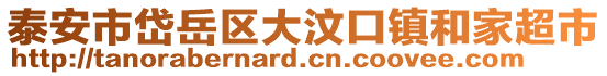 泰安市岱岳區大汶口鎮和家超市