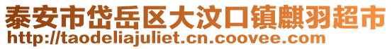 泰安市岱岳区大汶口镇麒羽超市