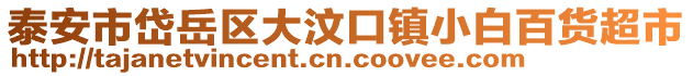泰安市岱岳區(qū)大汶口鎮(zhèn)小白百貨超市