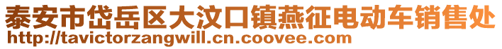 泰安市岱岳区大汶口镇燕征电动车销售处