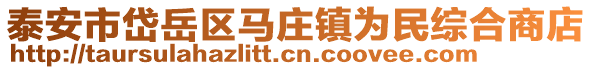 泰安市岱岳區馬莊鎮為民綜合商店