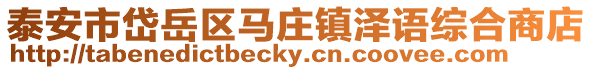 泰安市岱岳區馬莊鎮澤語綜合商店