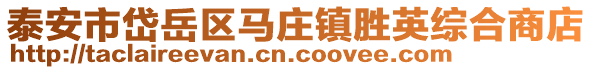 泰安市岱岳區馬莊鎮勝英綜合商店