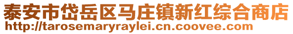 泰安市岱岳區(qū)馬莊鎮(zhèn)新紅綜合商店