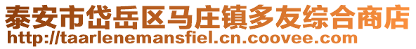泰安市岱岳區馬莊鎮多友綜合商店
