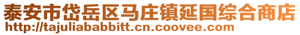 泰安市岱岳區馬莊鎮延國綜合商店
