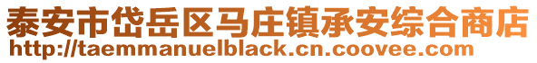泰安市岱岳區馬莊鎮承安綜合商店