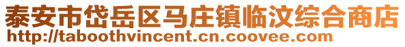 泰安市岱岳區馬莊鎮臨汶綜合商店
