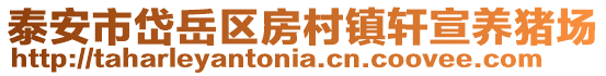 泰安市岱岳區房村鎮軒宣養豬場