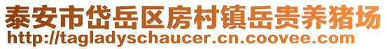 泰安市岱岳區(qū)房村鎮(zhèn)岳貴養(yǎng)豬場