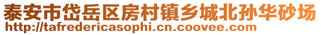 泰安市岱岳區房村鎮鄉城北孫華砂場