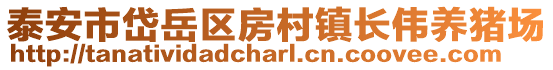 泰安市岱岳區房村鎮長偉養豬場