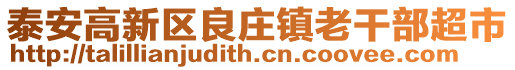 泰安高新區良莊鎮老干部超市